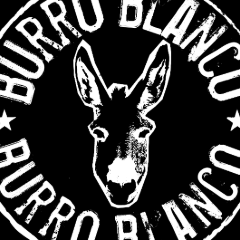 burroblanco