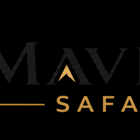 mavericksafari