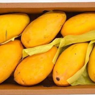 drymango