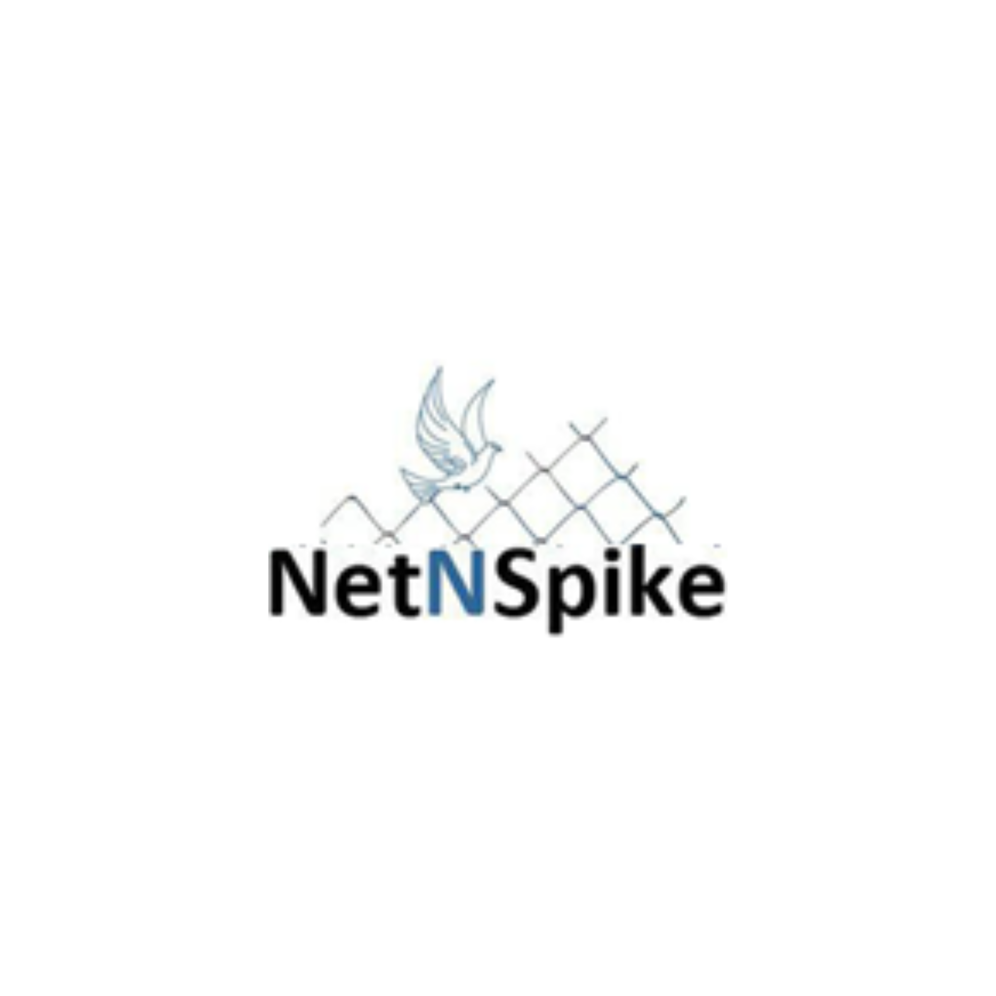 netnspike