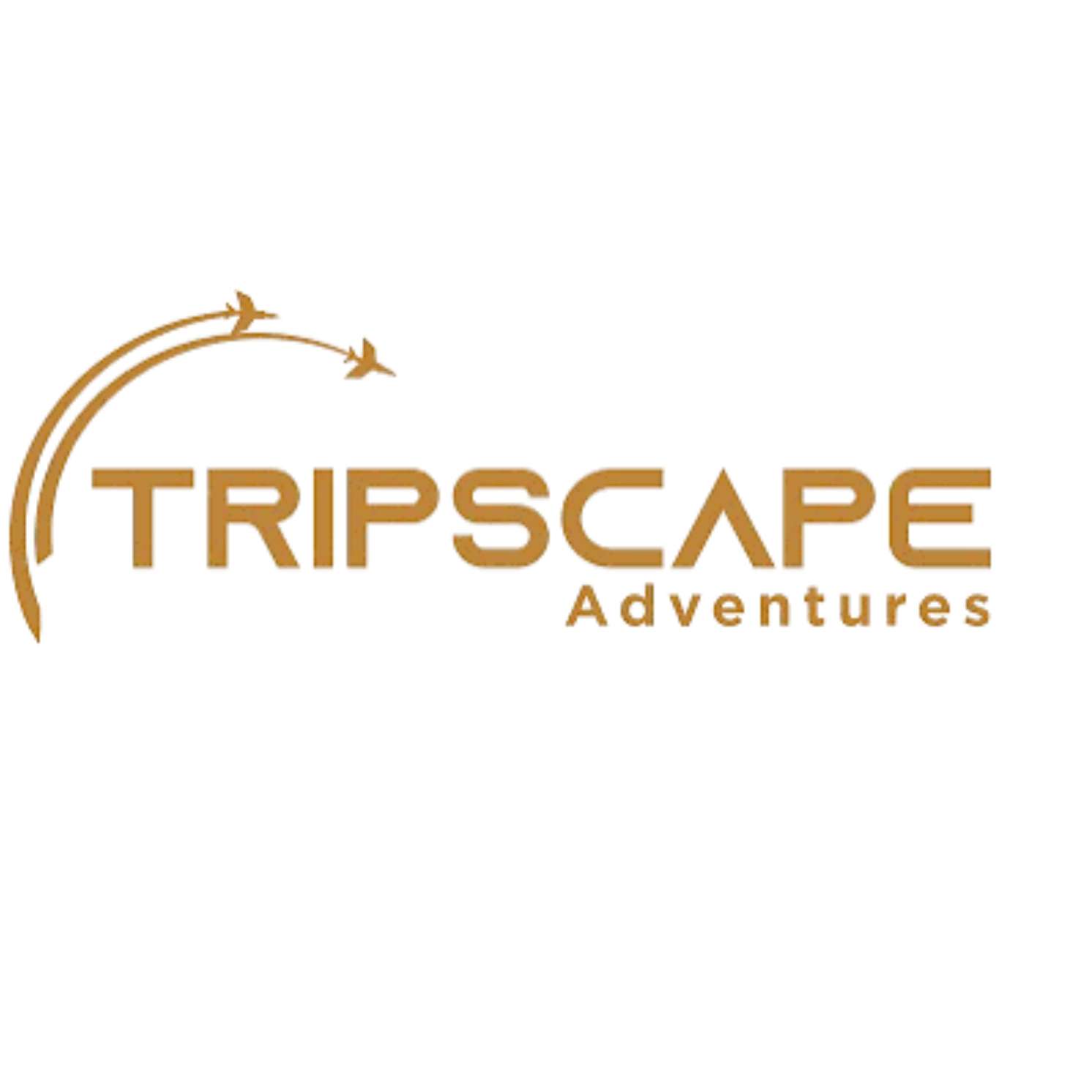 tripscapetourism