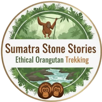 sumatrastonestories