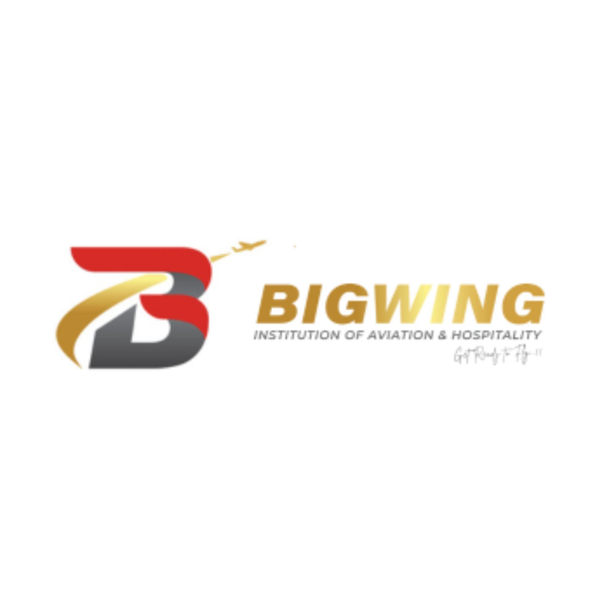 bigwingaviations
