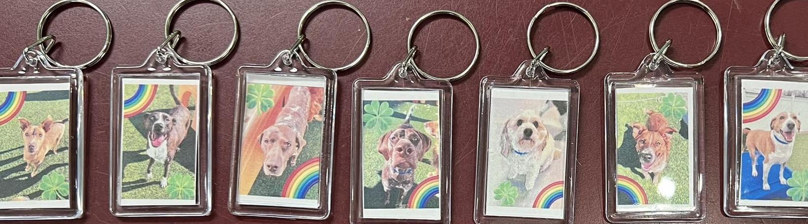 luckydogmontgomery