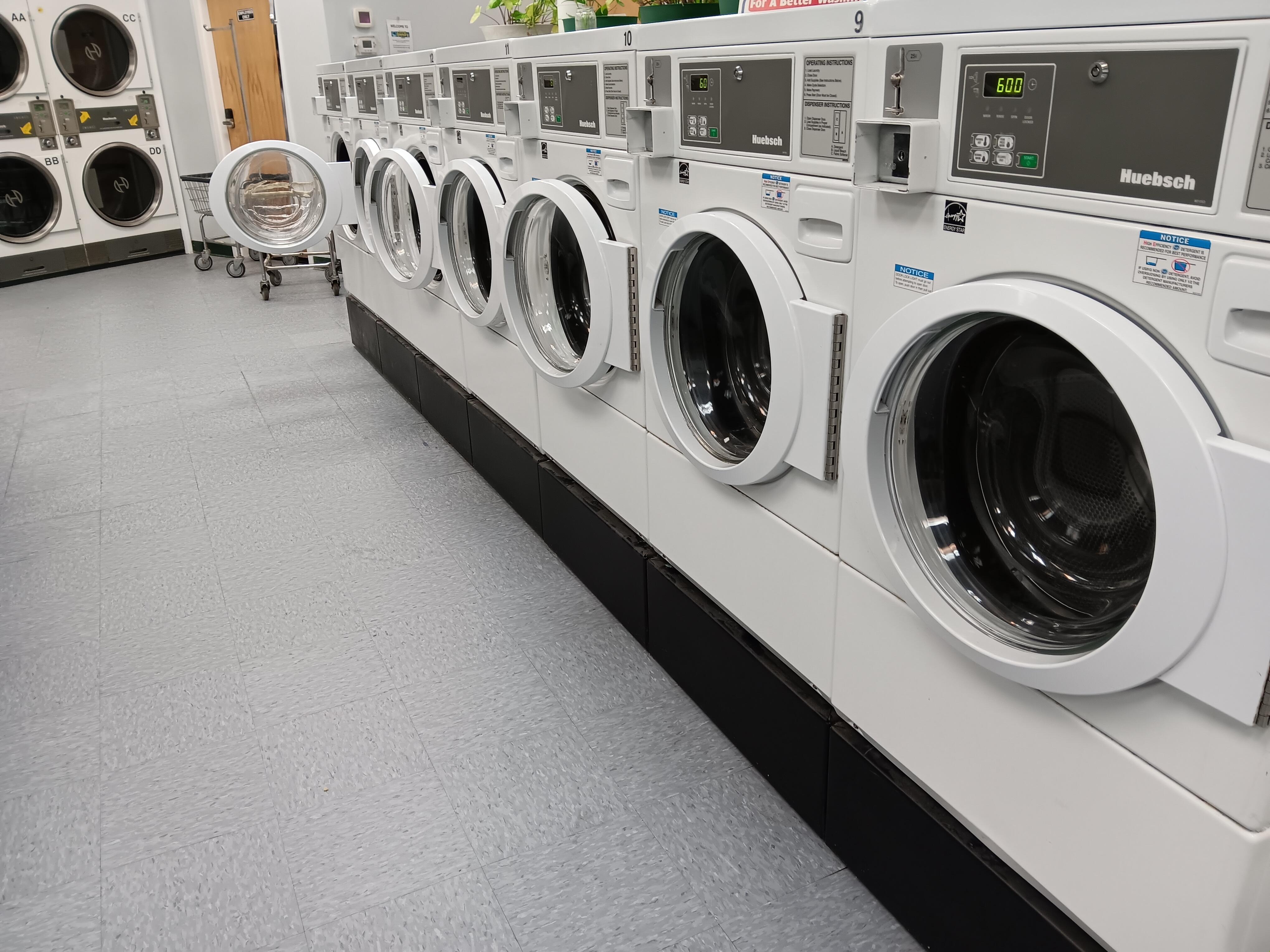 mysunnylaundry