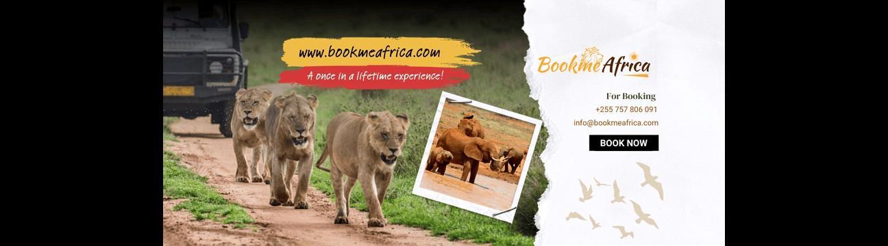 bookmeafrica